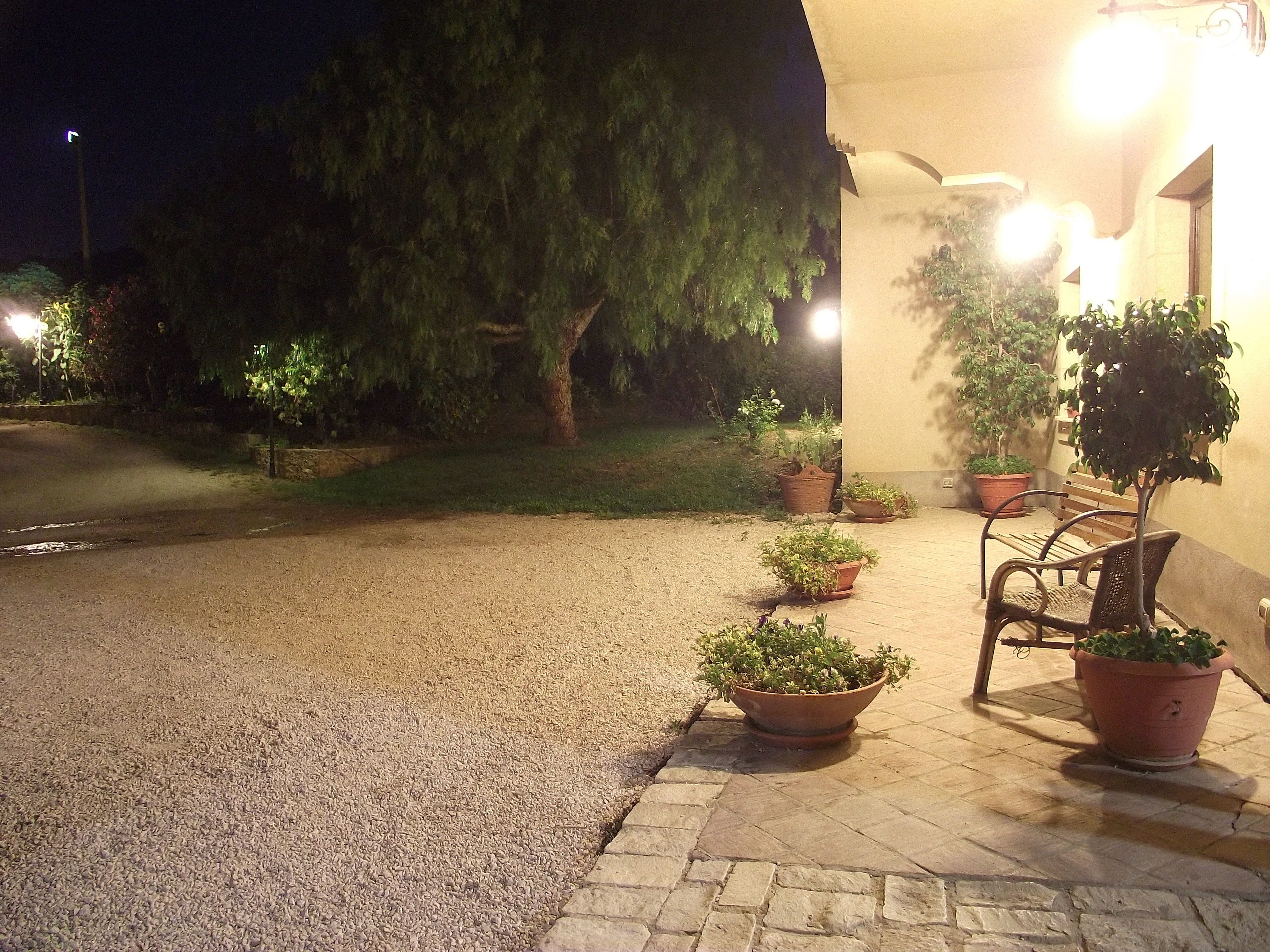A paved outdoor area with potted plants and a bench.