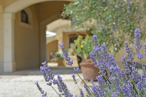 Pemandangan dari hartanah