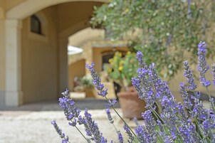 Vista desde la propiedad