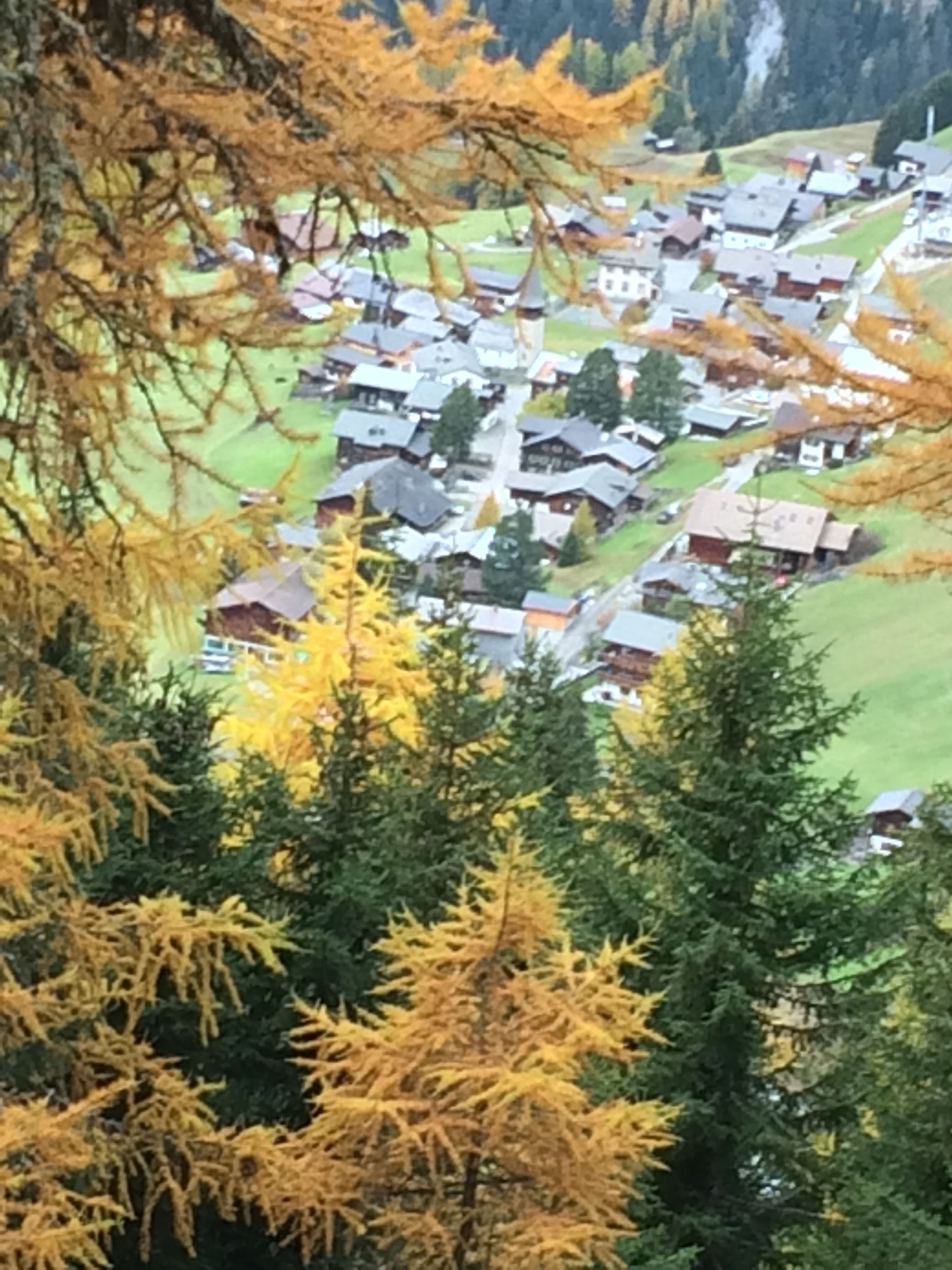 A village with traditional houses, surrounded by greenery and trees.