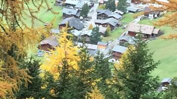 A village with traditional houses, surrounded by greenery and trees.