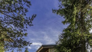 Uklassifisert bilde, 2 av 118, knapp