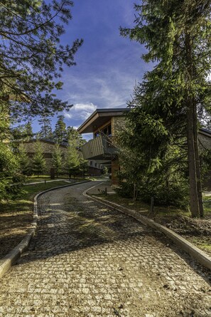 Trädgård
