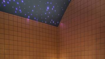 Steam room