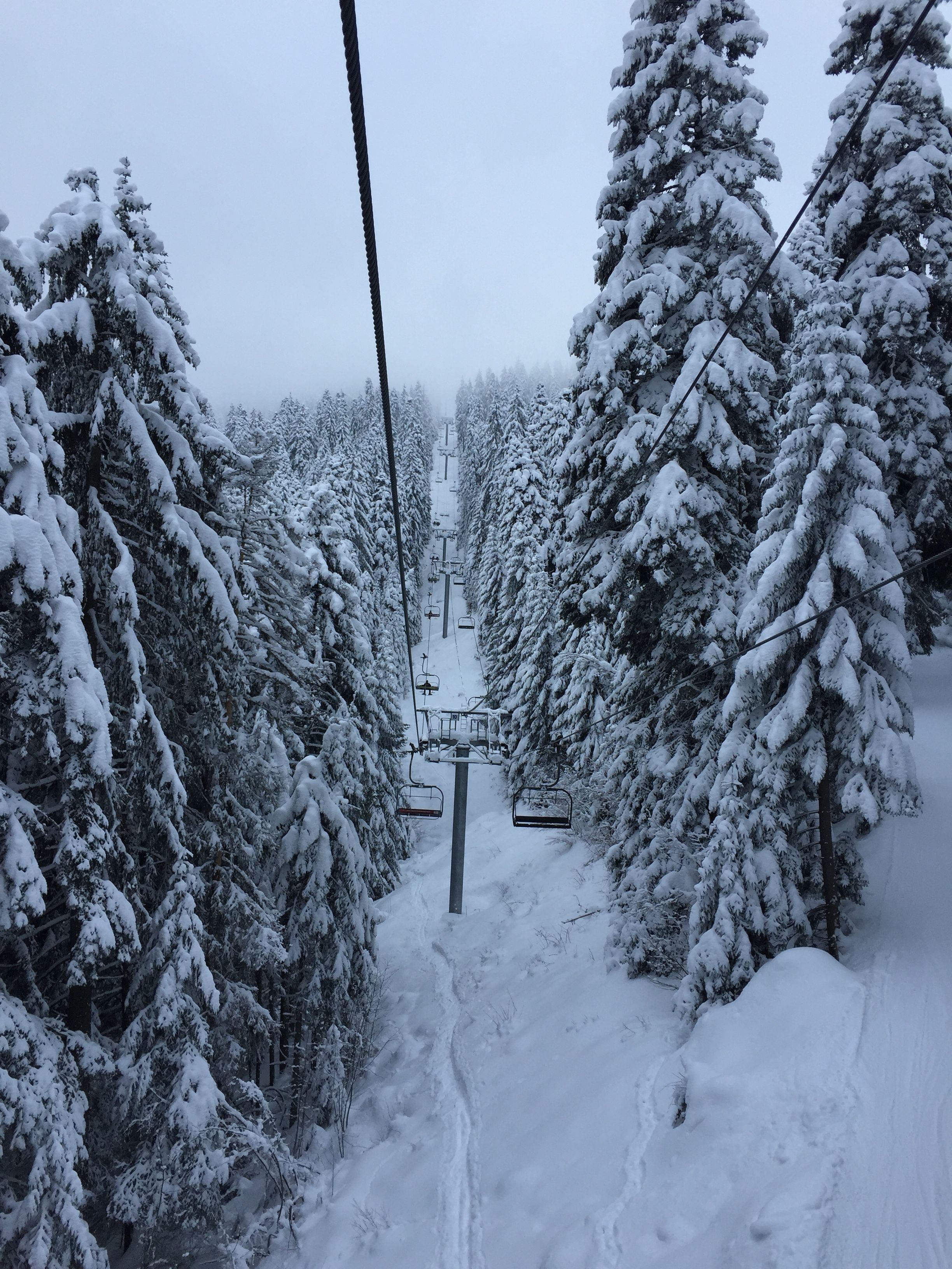 A snow-covered ski lift surrounded by tall, snow-laden trees.