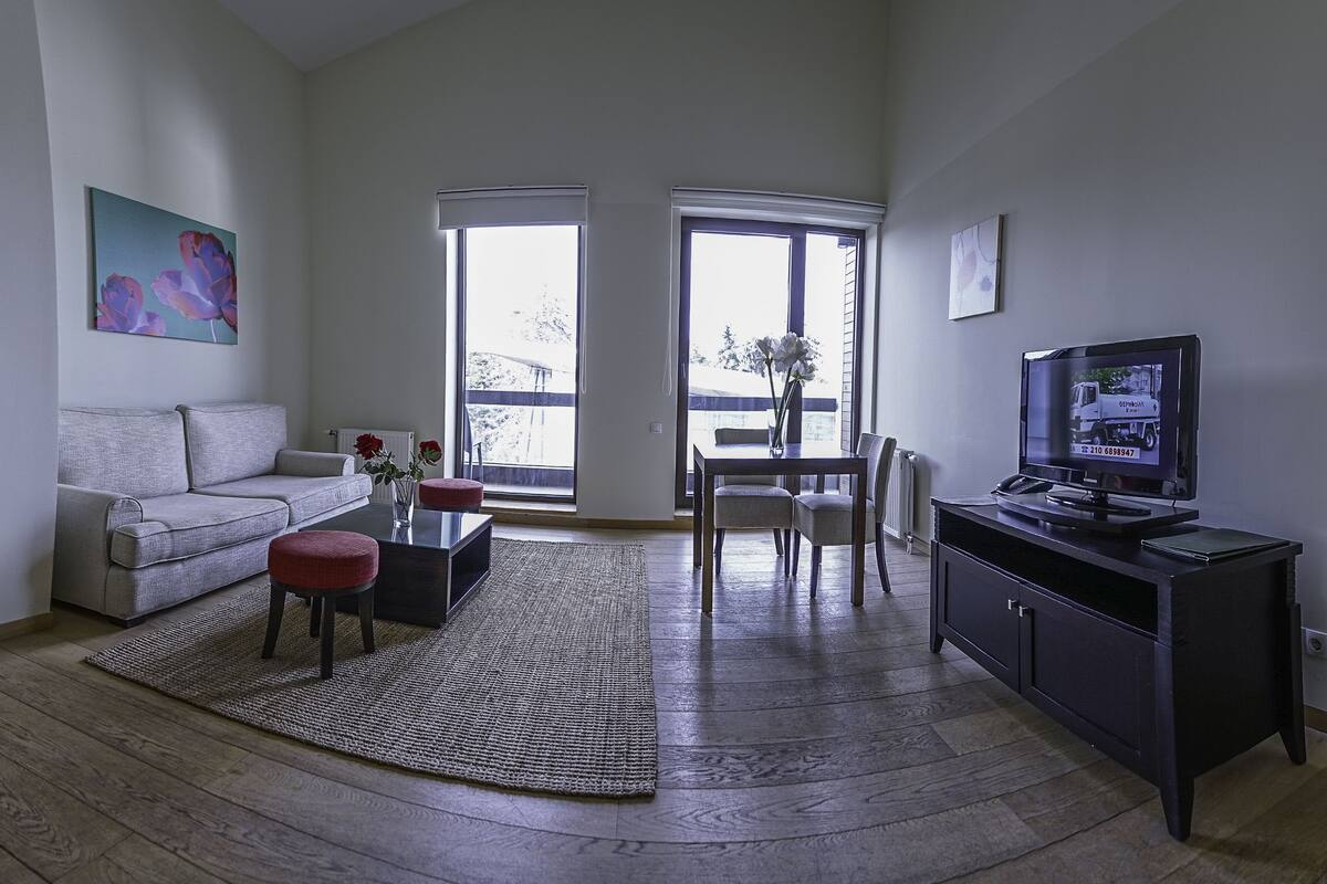 A living room with a sofa, coffee table, rug, TV, and a dining area with chairs and a table.