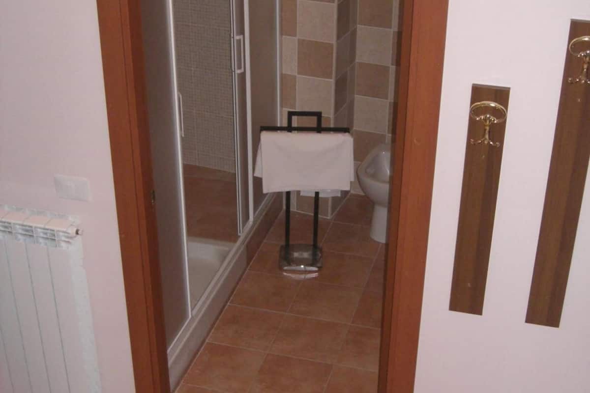 combined shower/bathtub, free toiletries, hair dryer, bidet