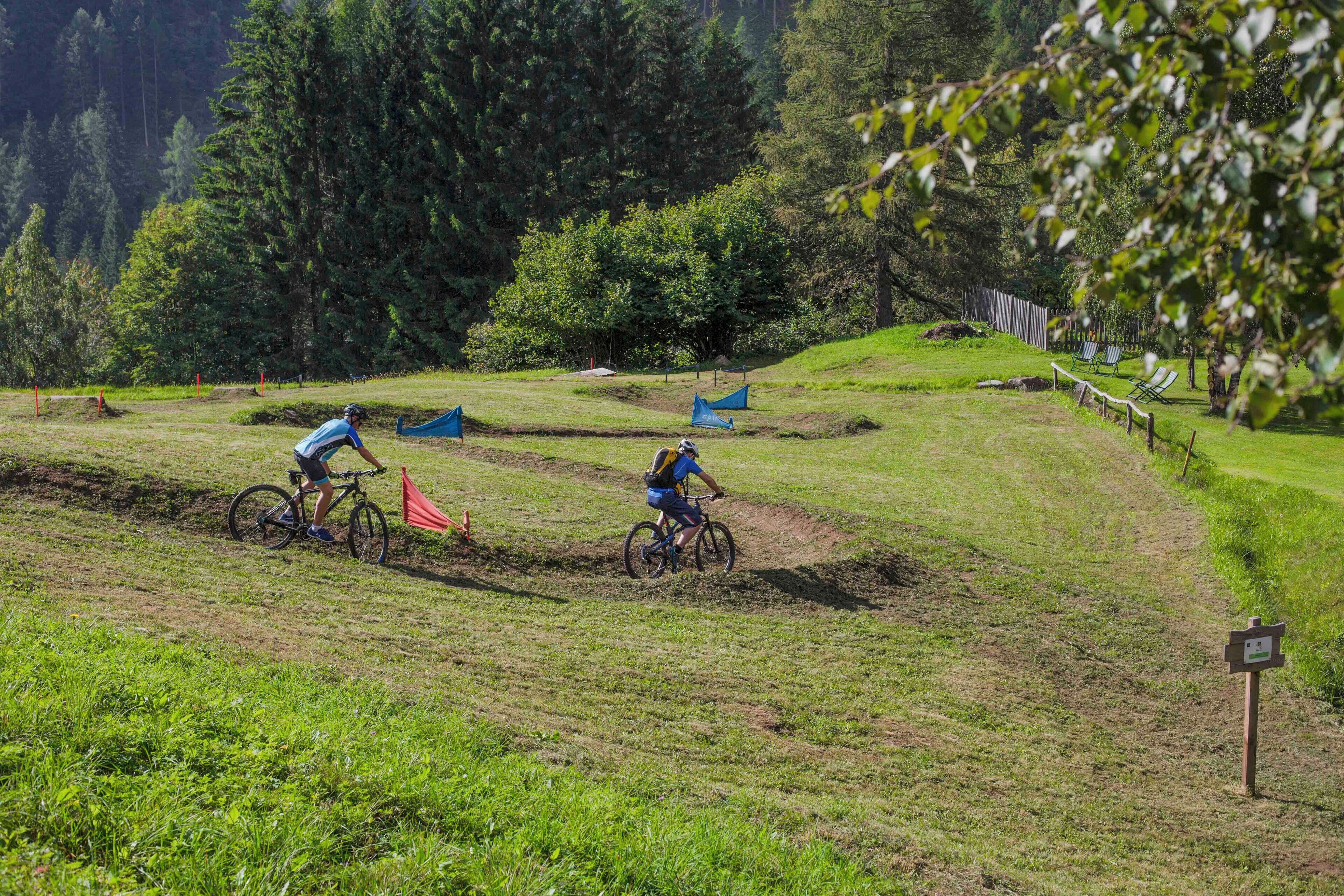 A mountain biking trail with grassy terrain and trees in the background.