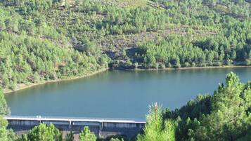 A bridge over a calm lake surrounded by dense green forest.
