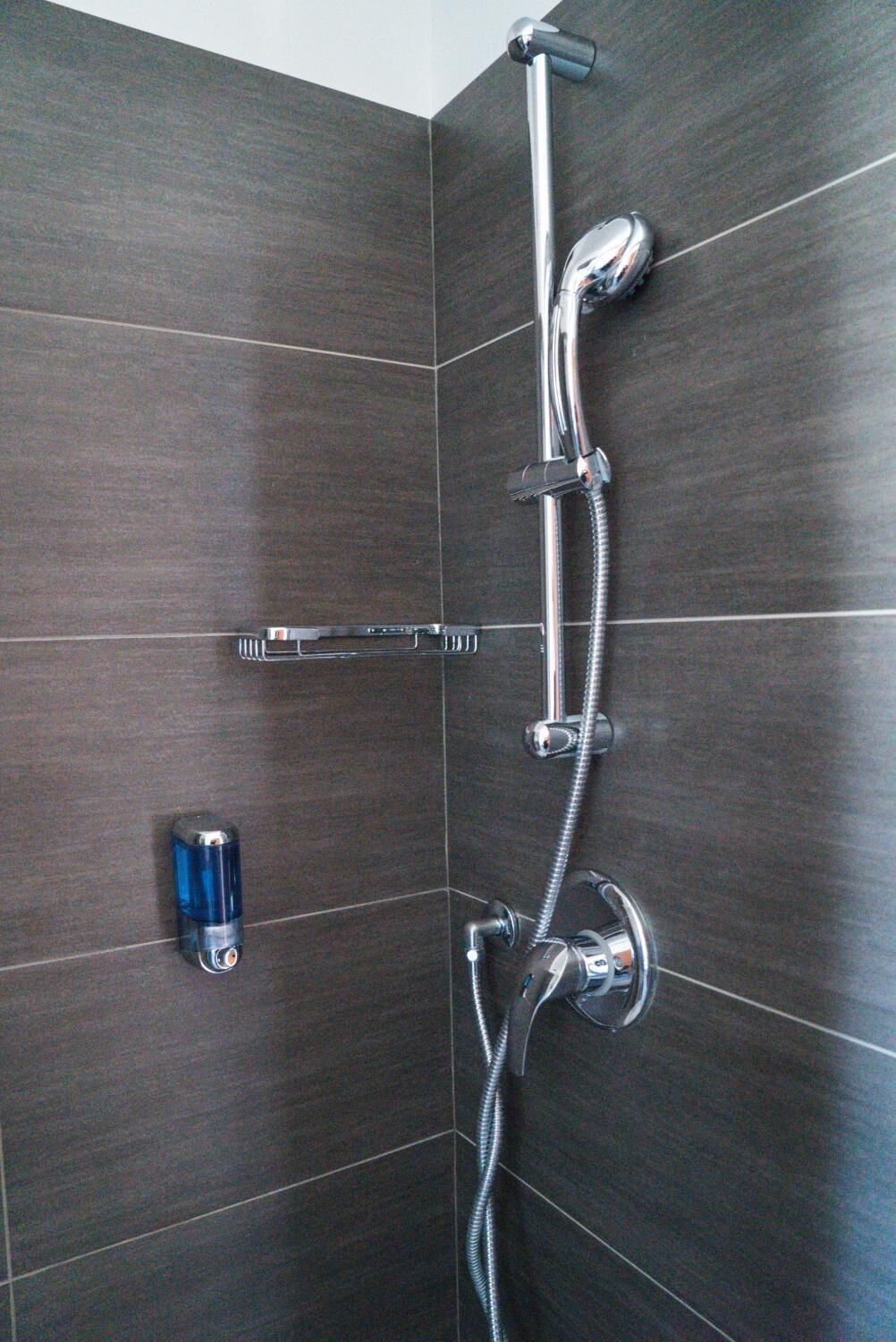 shower, free toiletries, hair dryer, bidet