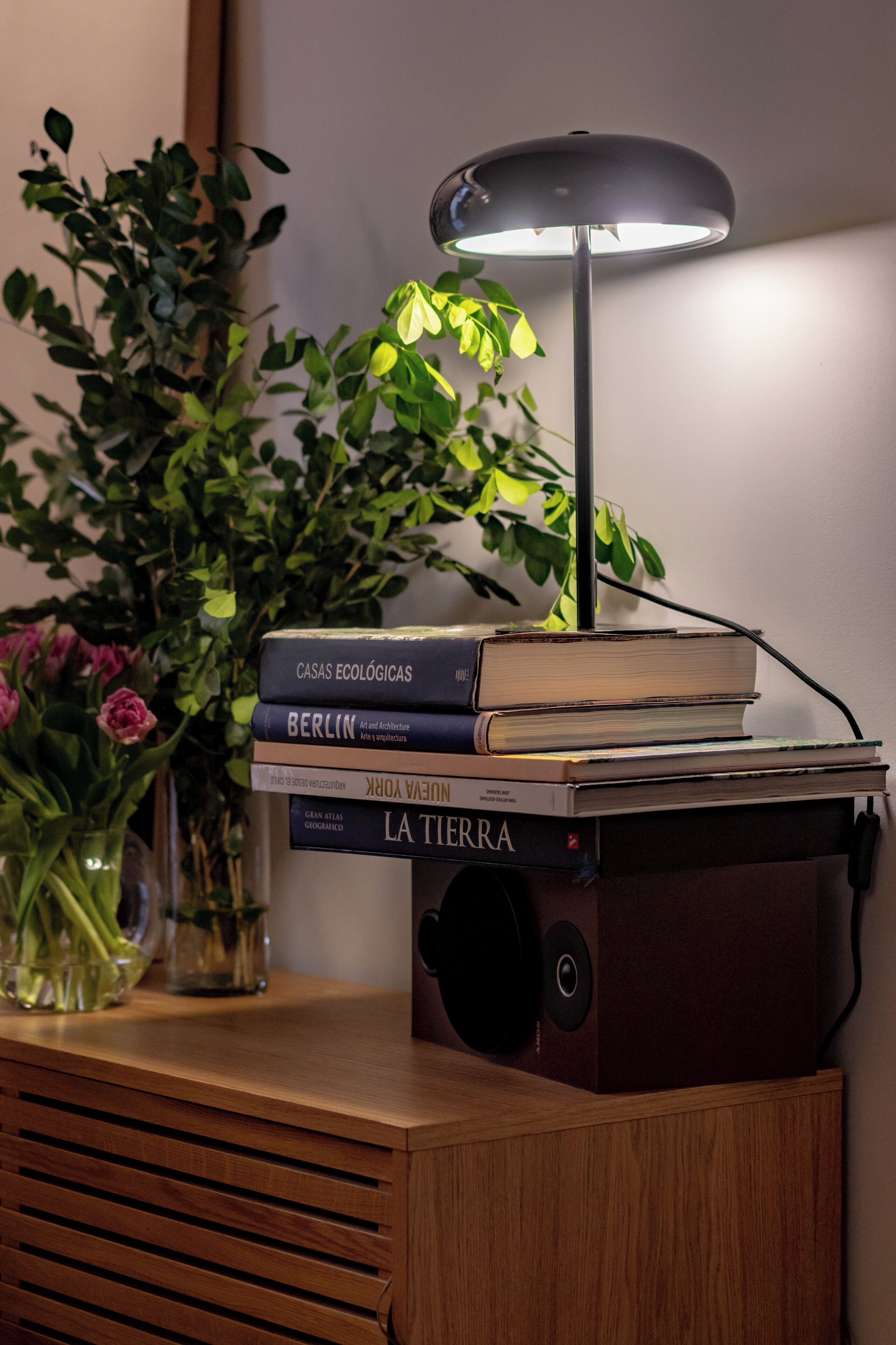 A wooden desk with a lamp, books, and a plant.