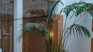 A reception area with a reception desk, a potted plant, and a wooden bench.