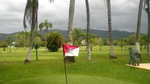 A golf course with a red and white flag on a flagstick, surrounded by palm trees and a statue. - Pousada do Golfista (Guaruja)
