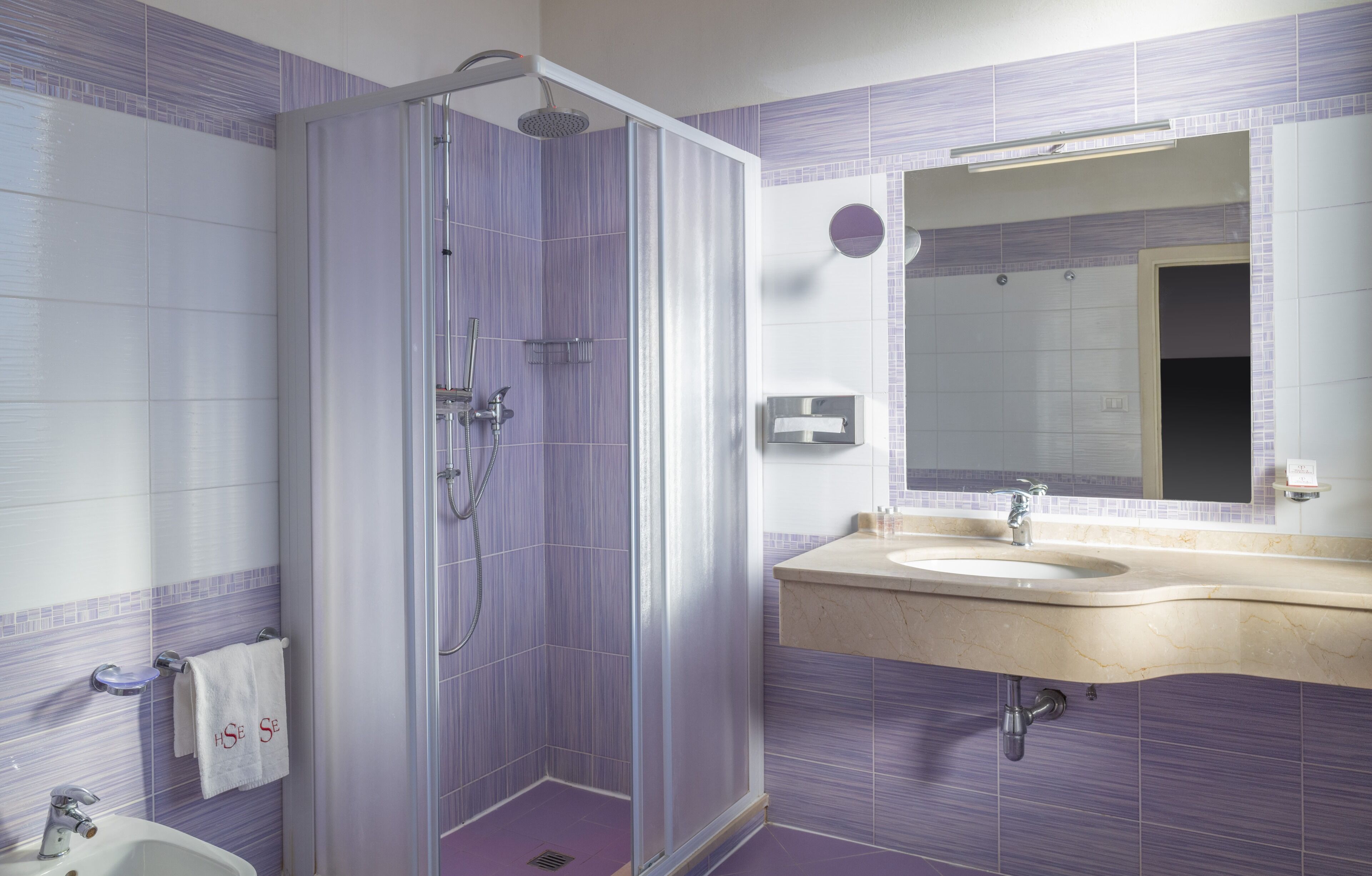 A bathroom with a shower, sink, and mirror.