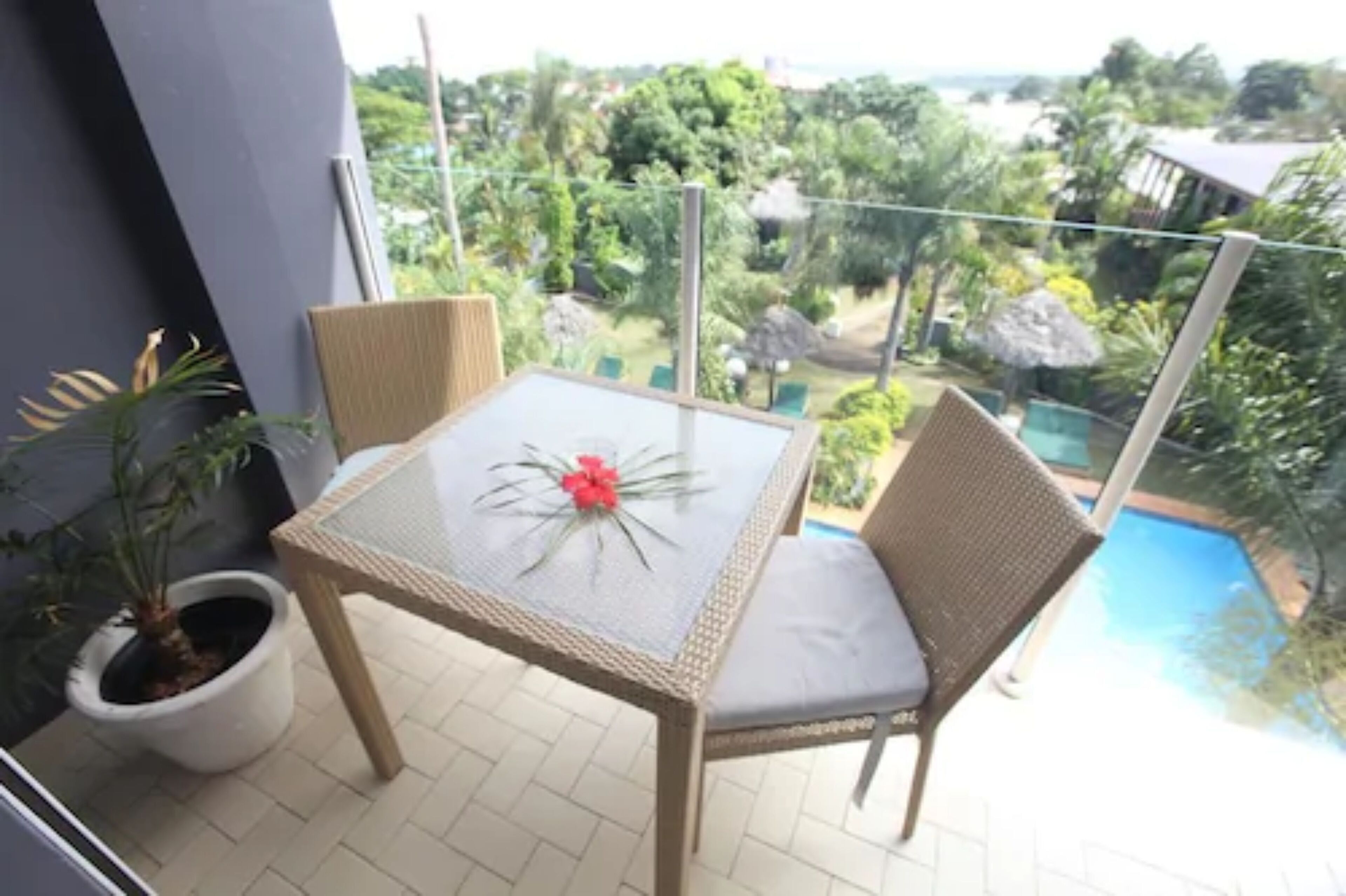 hibiscus (shared bathroom) | view from room