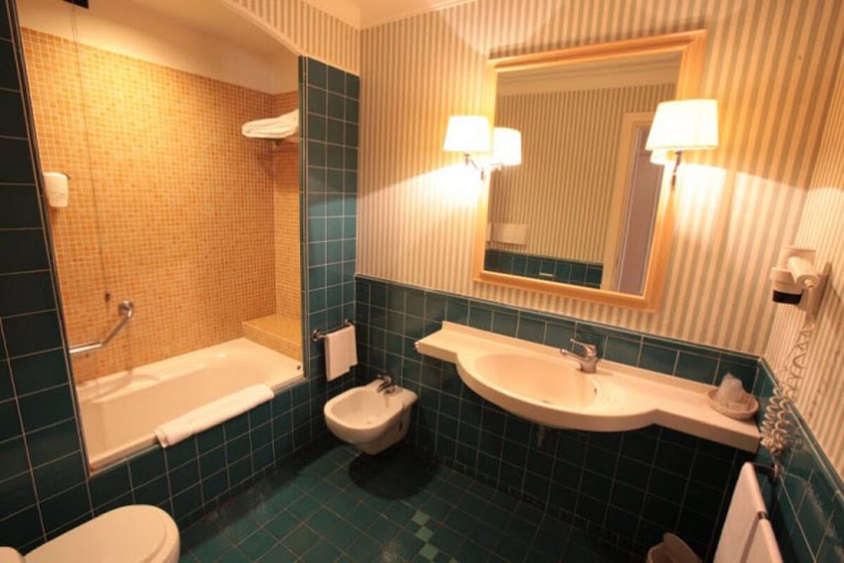 Combined shower/tub, free toiletries, hair dryer, bidet