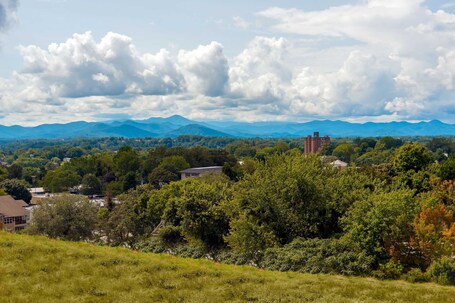 Aloft Asheville Downtown - Image 11