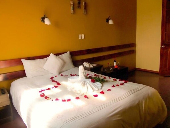 View from property - La Casona de Palacio Viejo (Arequipa)