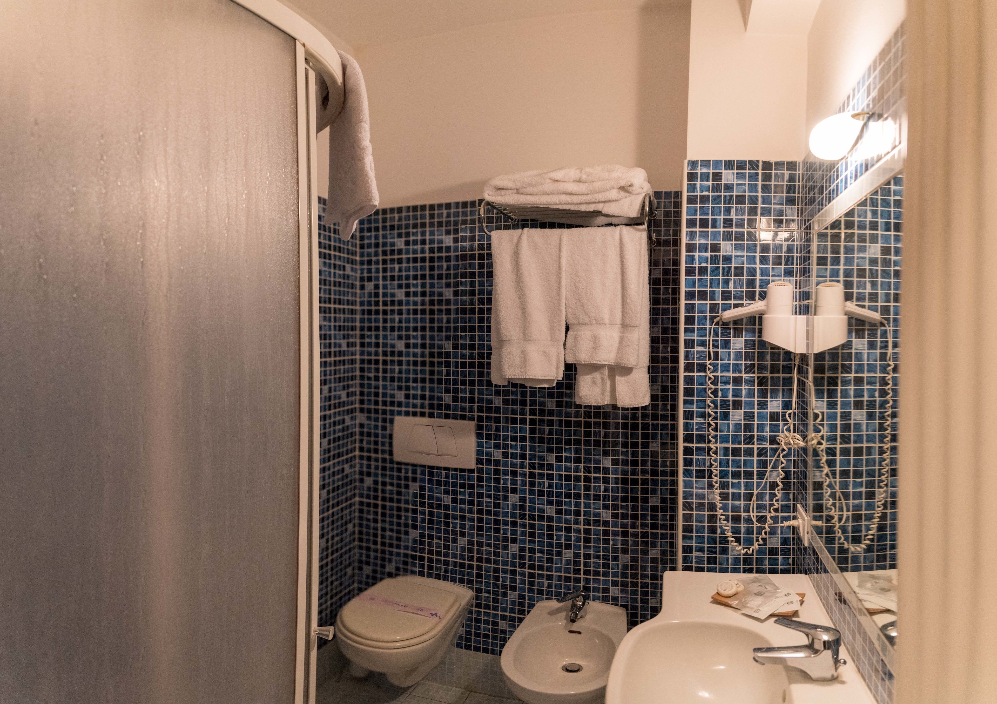 Shower, free toiletries, hair dryer, towels