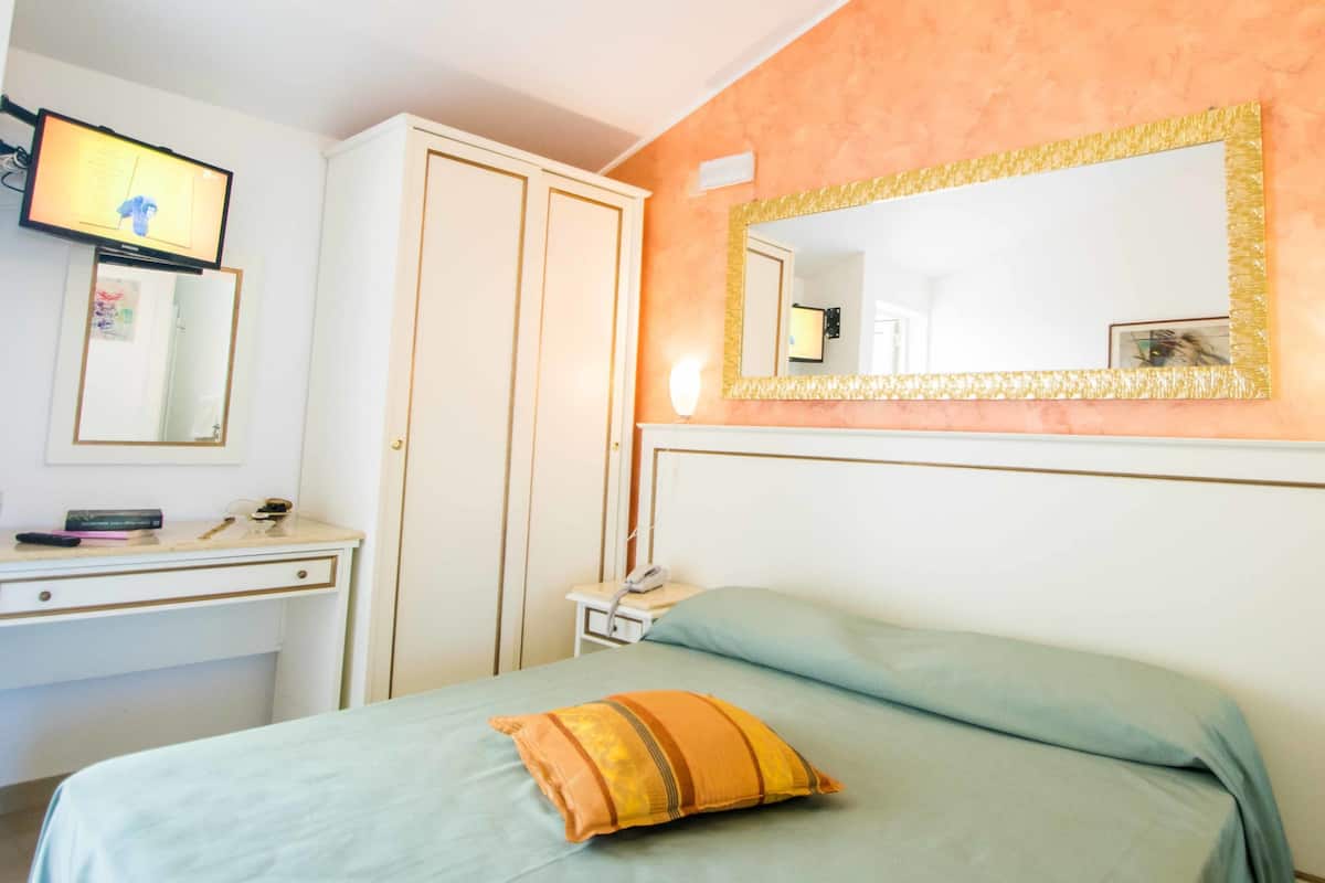 A bedroom with a bed, a desk, a chair, a wardrobe, a mirror, and a television.
