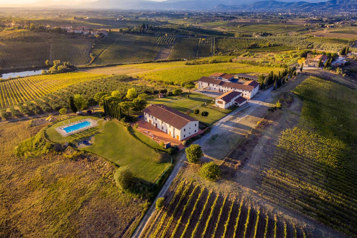 Vista aérea de una finca vinícola con campos en terrazas, una piscina y un edificio principal con varias habitaciones.