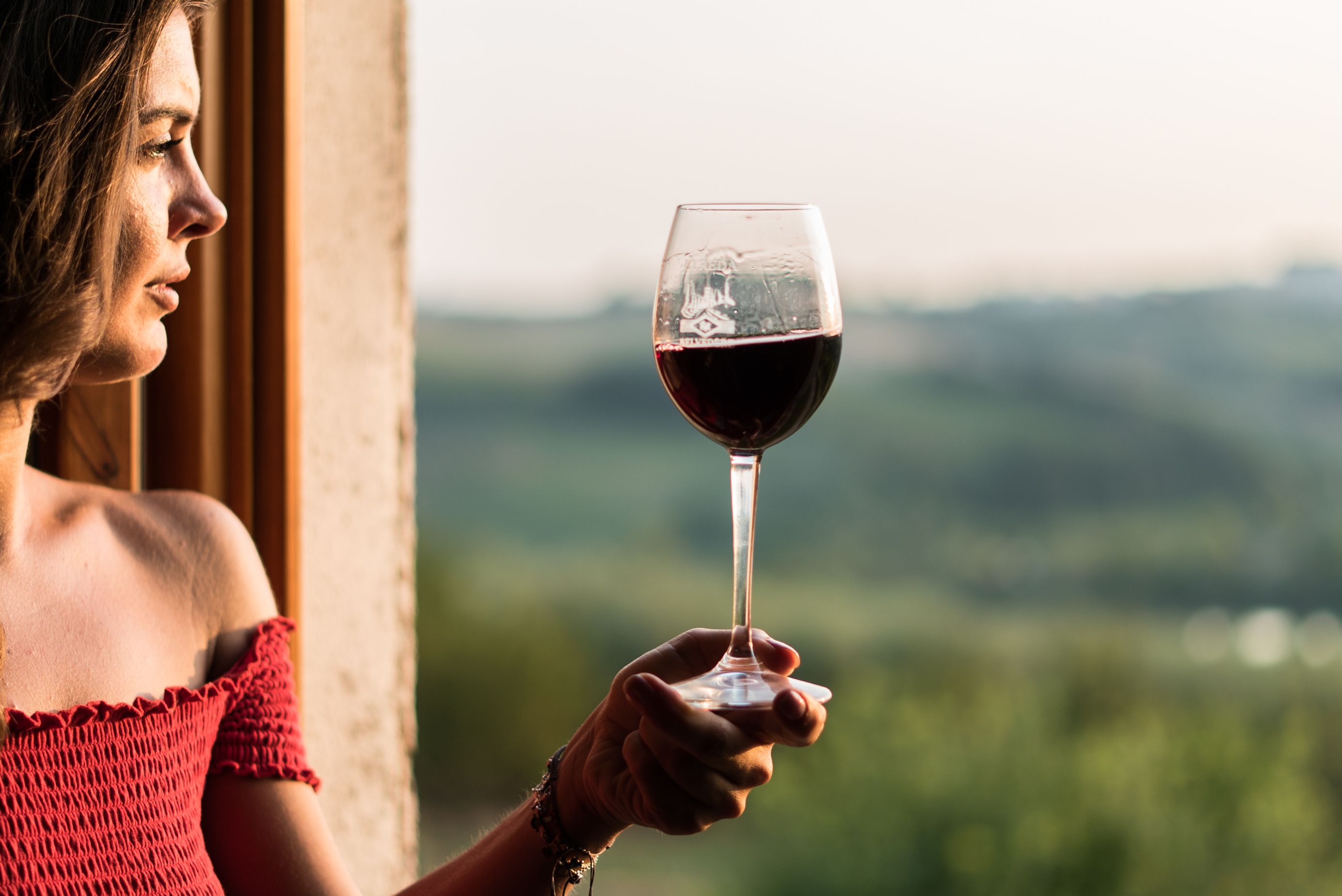 A person holding a wine glass with a scenic view in the background.
