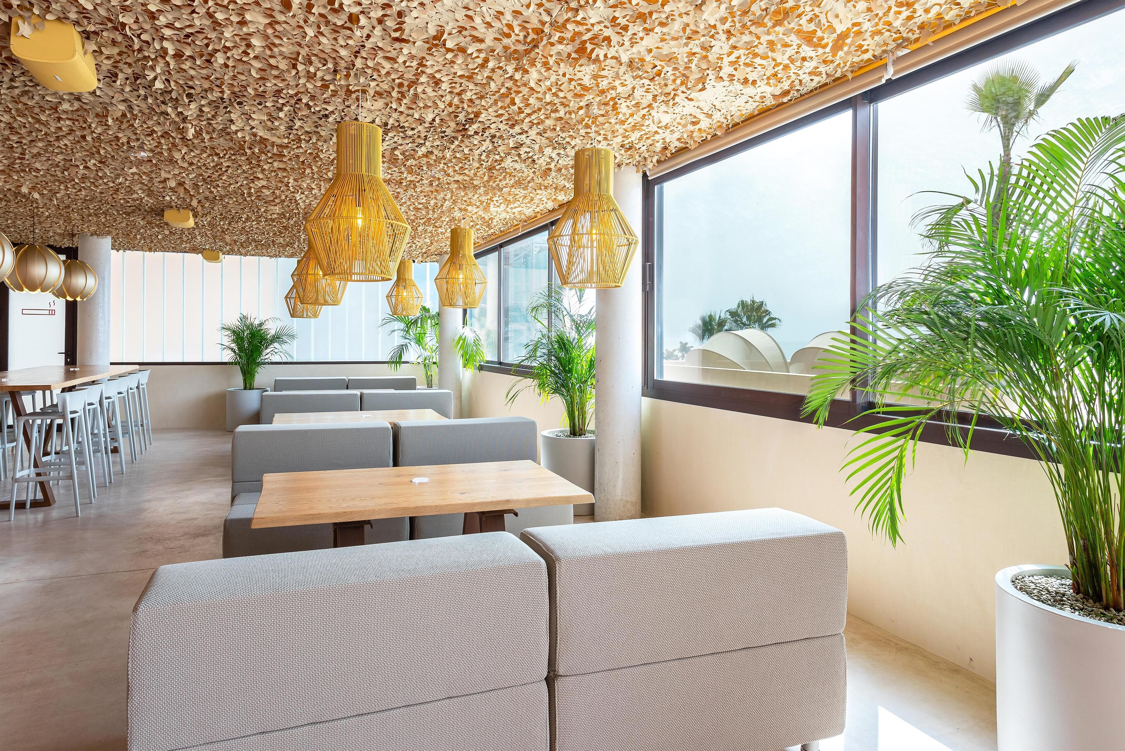 Un interior moderno con techo de hojas de madera, ventanas amplias y plantas de interior.