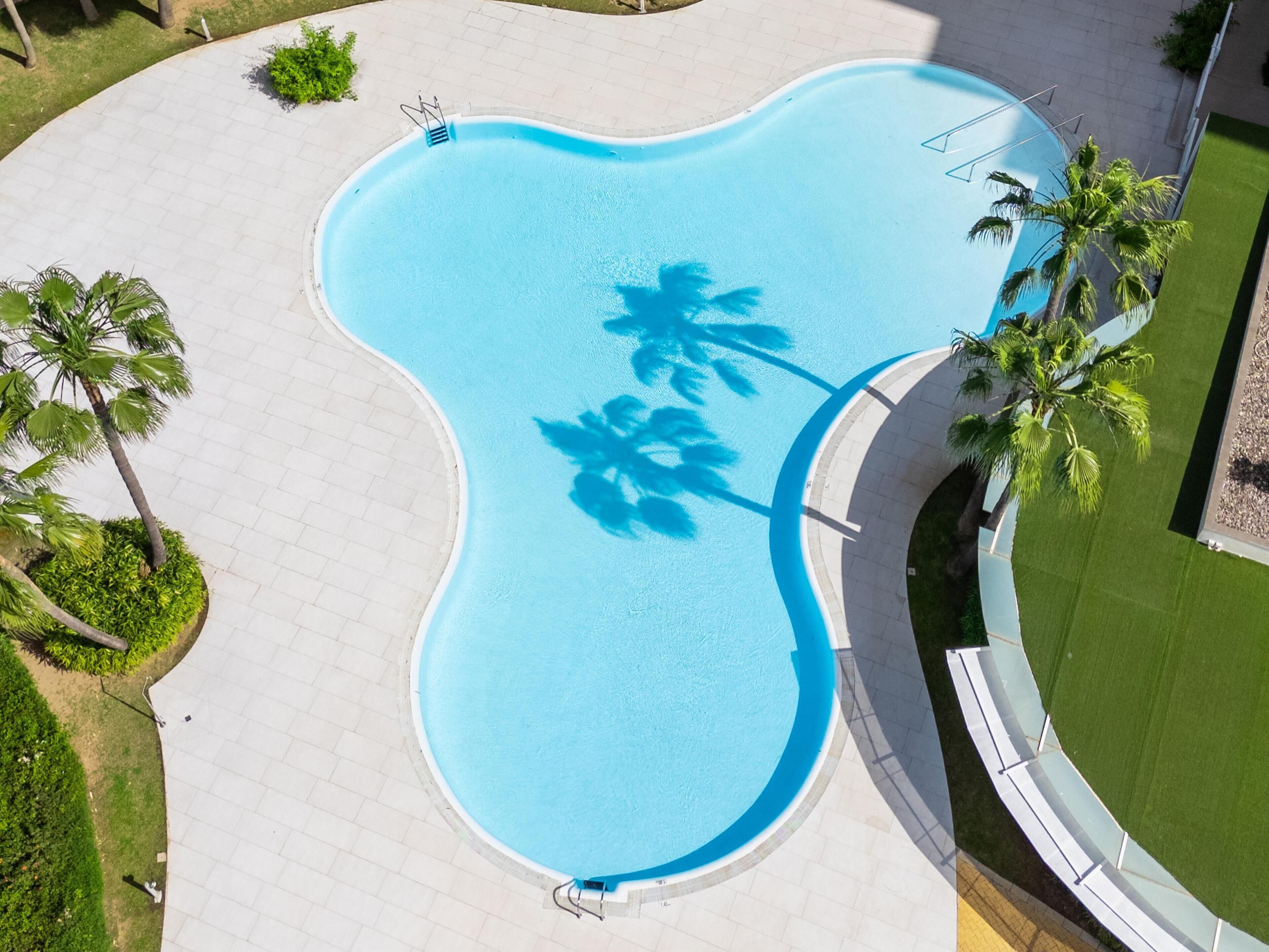 Vista aérea de una piscina de forma singular, rodeada por un camino empedrado y palmeras.