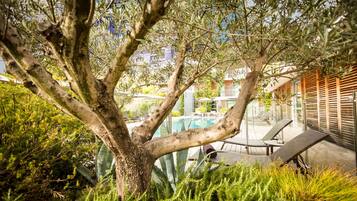 A tree-lined outdoor area with a pool, lounge chairs, and a modern building in the background.