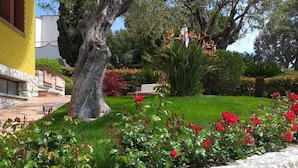 A stone wall, a tree, and a garden with red flowers. - La Finestra sul Mare (Bordighera)