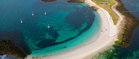 Botes de remos