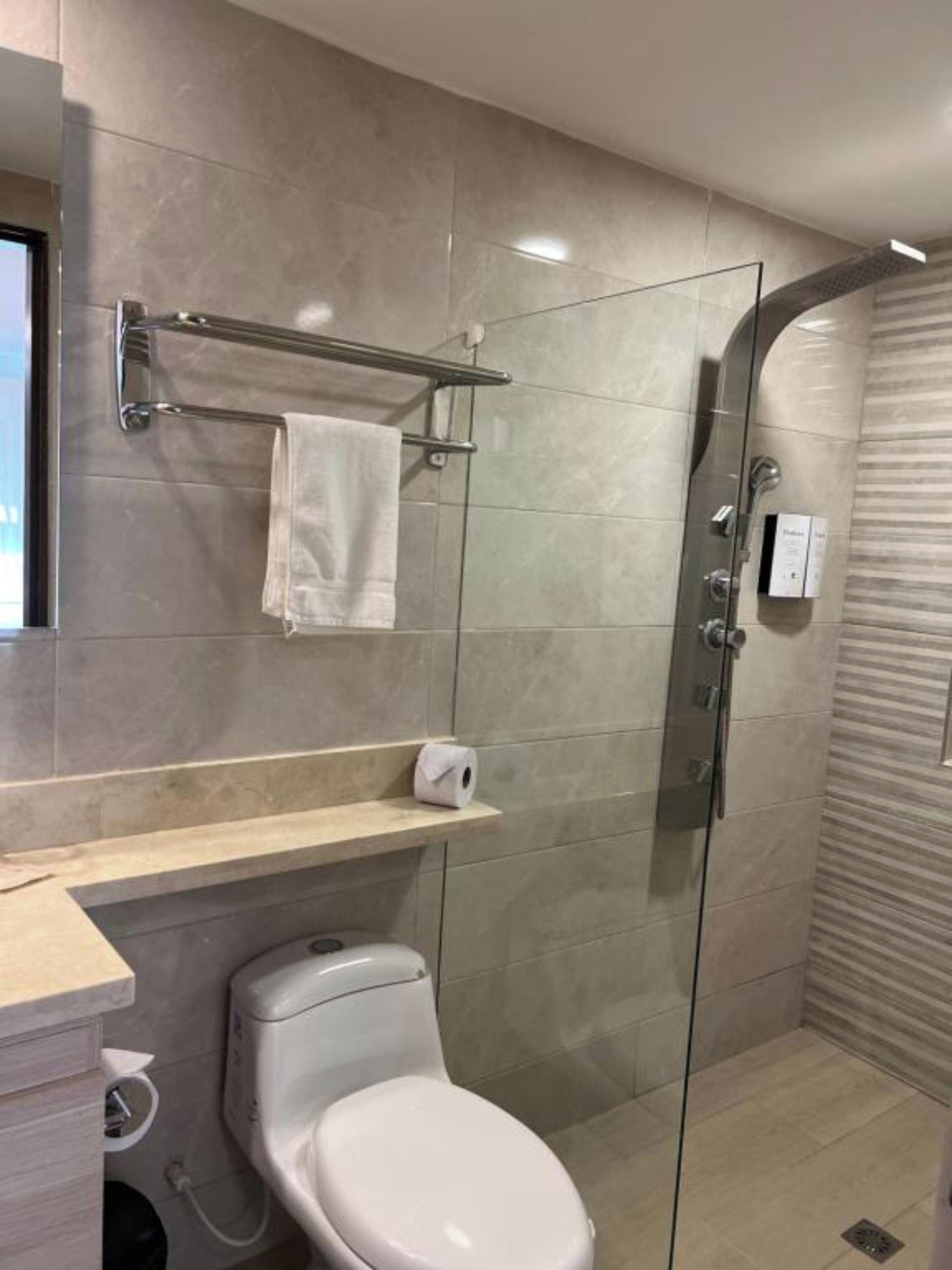 Une salle de bain moderne avec une douche à parois de verre, des toilettes et un porte-serviettes.