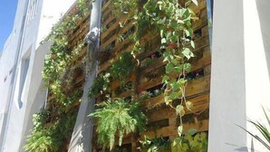 Un edificio con un jardín vertical en su fachada.