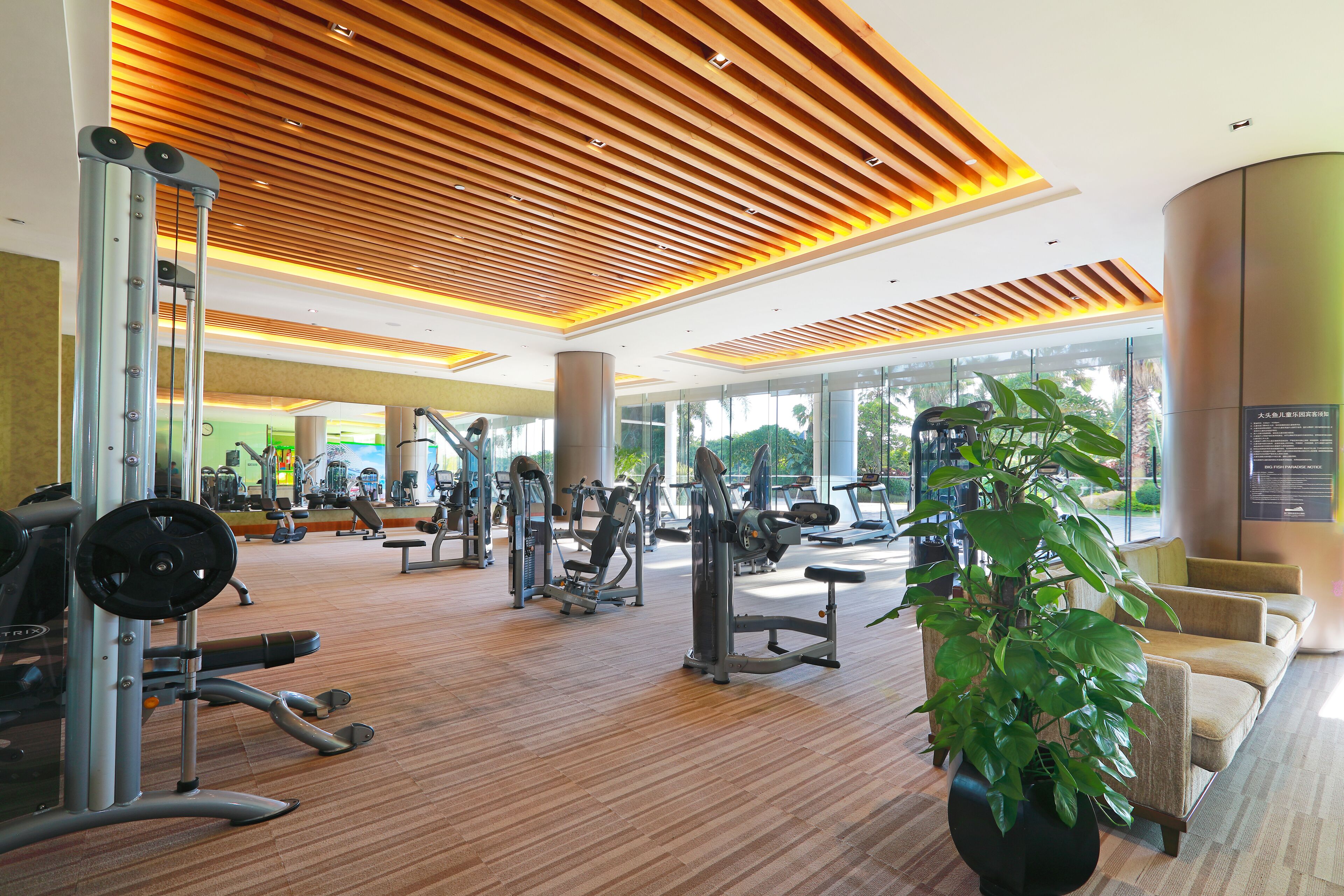 Gym