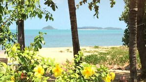 Vista de playa con palmeras y flores amarillas al frente.