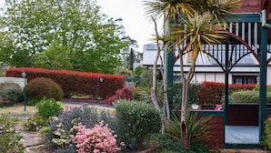 Um jardim com várias plantas e um edifício com portão verde.