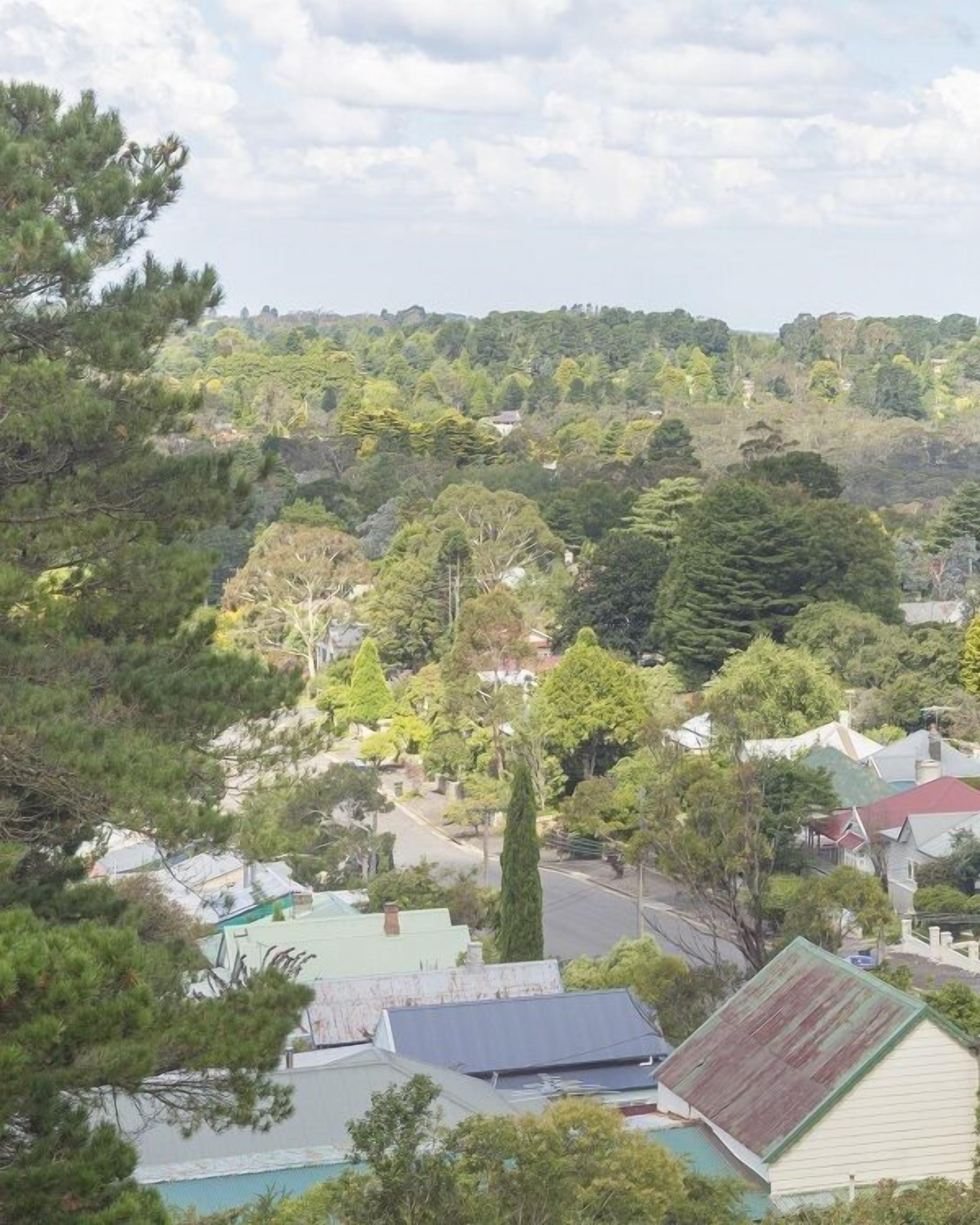 Foto - Katoomba Mountain Lodge