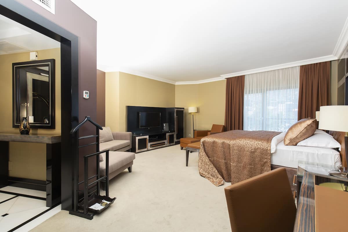 Een hotelkamer met een bed, een televisie, een bureau met stoel, een bank en een raam met gordijnen.