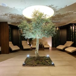 Couples treatment room(s), sauna, hot tub, steam room