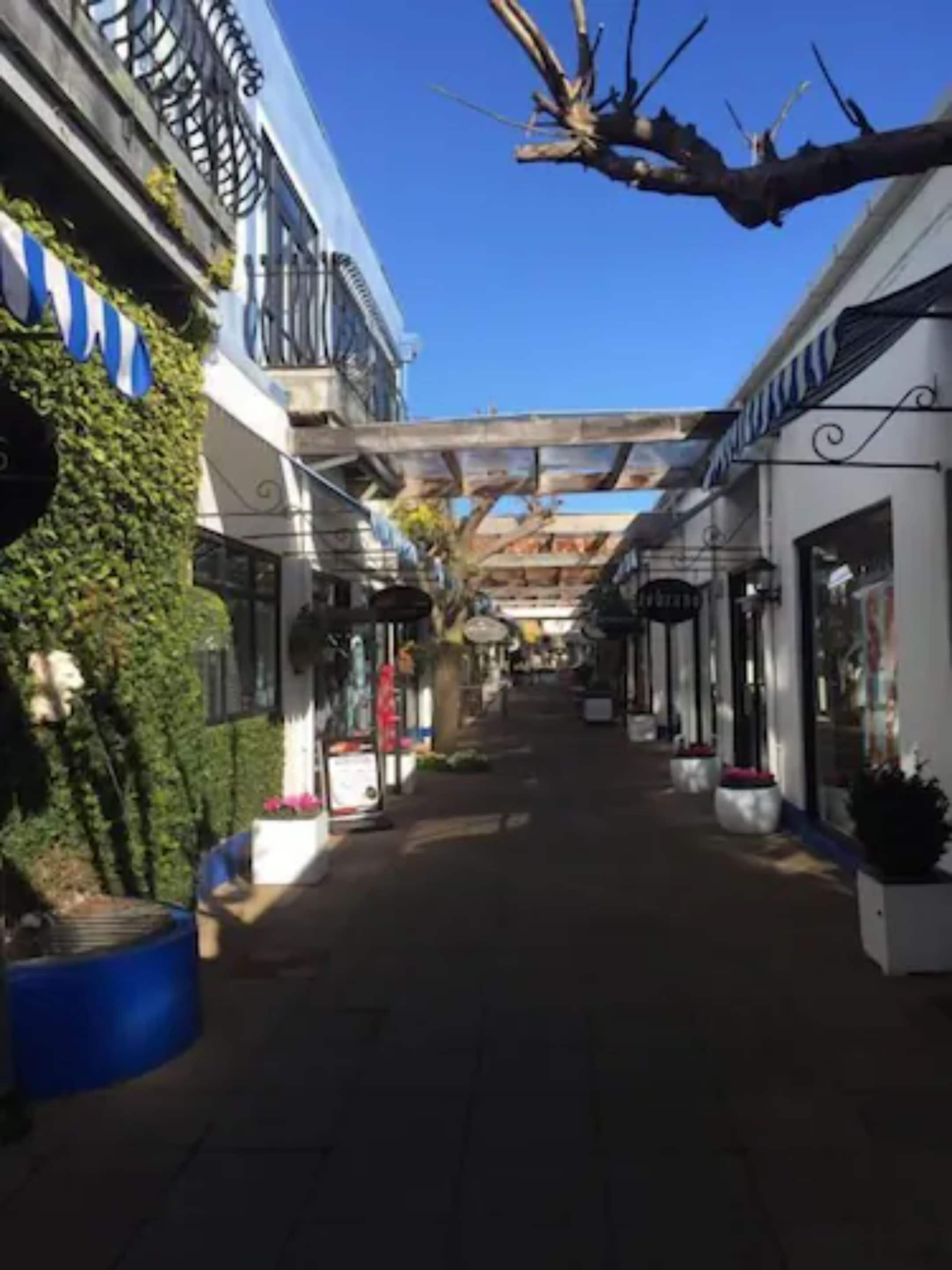 A covered pedestrian walkway with storefronts on either side, potted plants, and a clear blue sky.