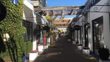 A covered pedestrian walkway with storefronts on either side, potted plants, and a clear blue sky.