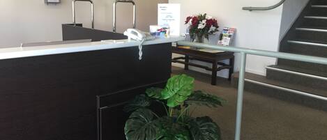 A reception desk with a phone, a plant, and a mirror on the wall.