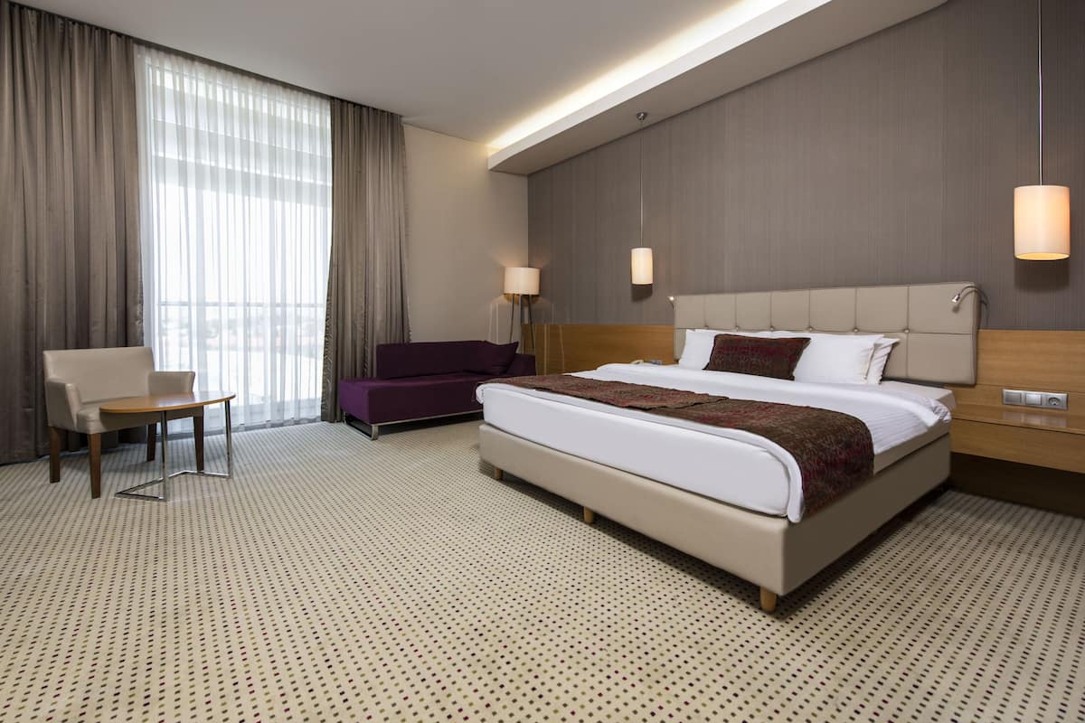 Minibar, in-room safe, desk, iron/ironing board