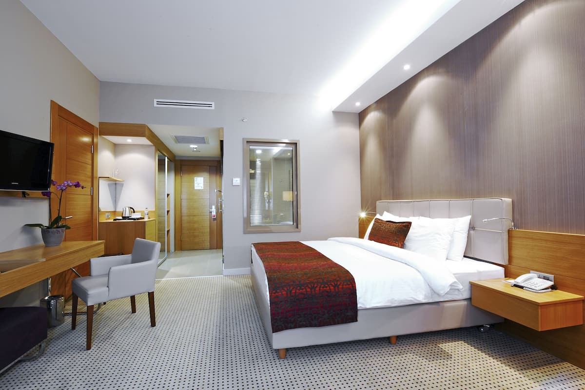 A modern hotel room with a bed, bedside table, TV, desk, chair, and a potted plant.