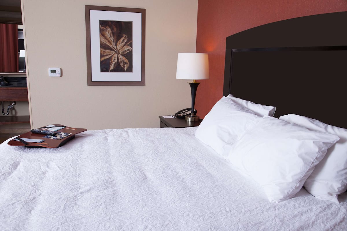 King, Studio, 1 King Bed, Accessible, Bathtub