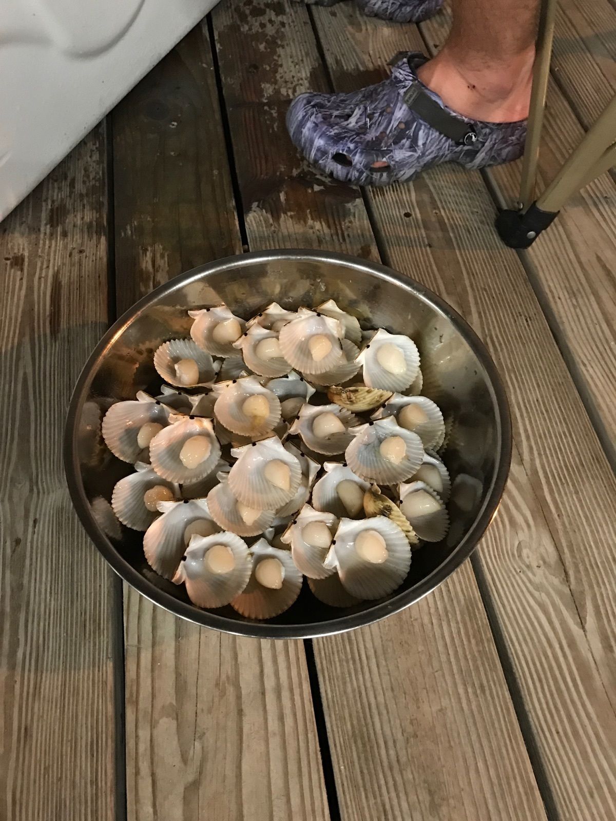 A metal bowl filled with scallops on a wooden deck.