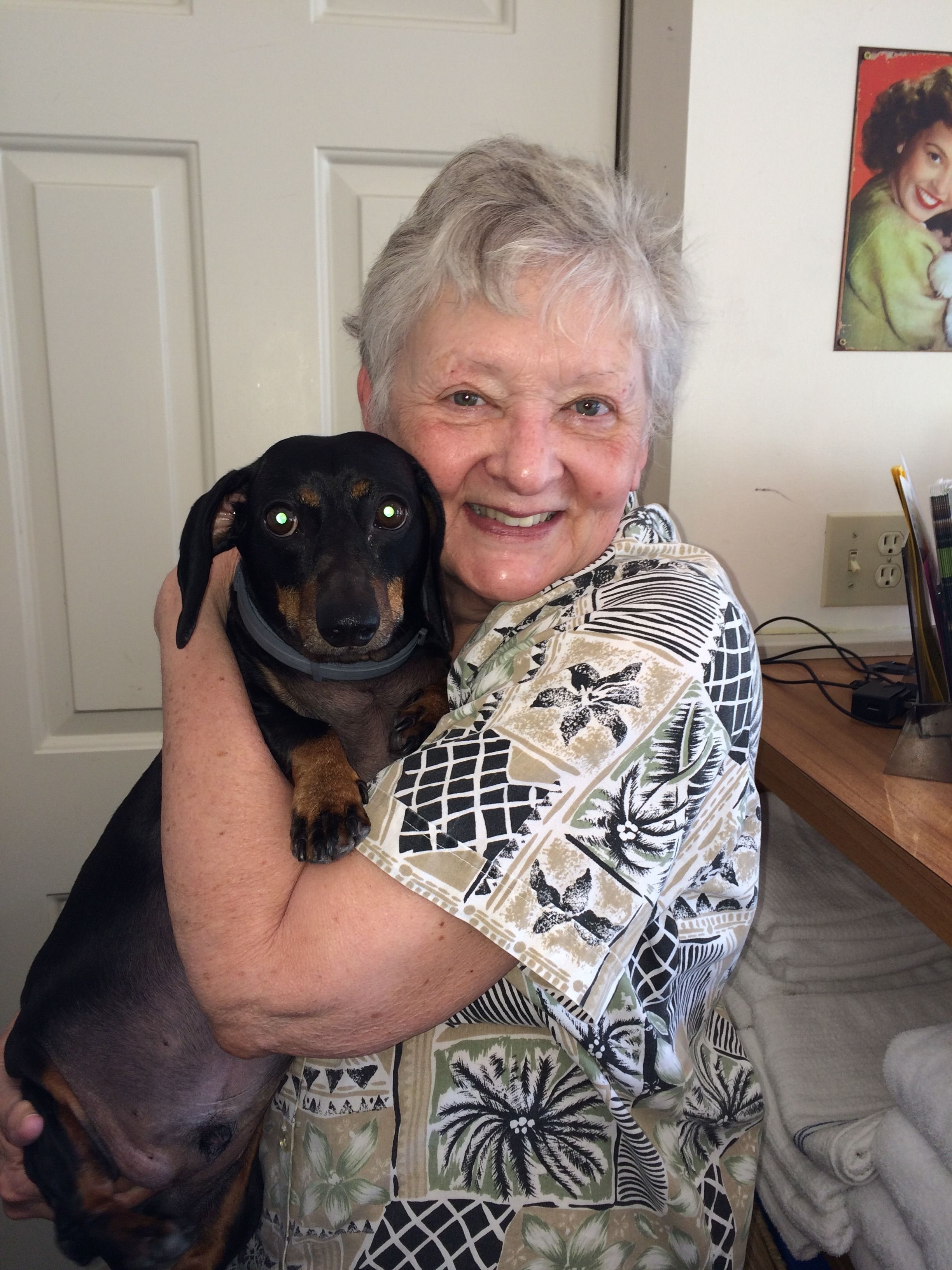 A person holding a dog indoors, with a door and a painting on the wall.