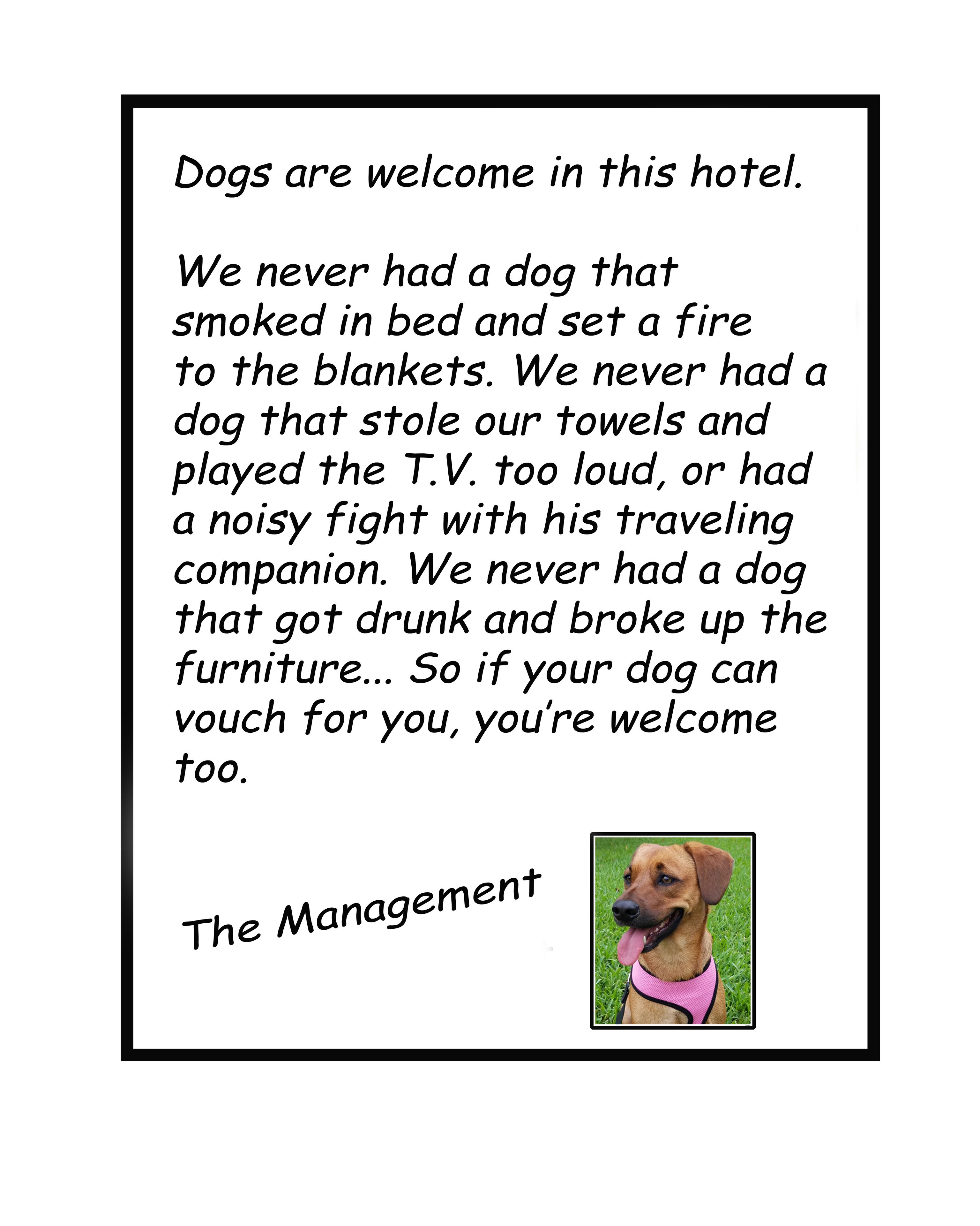 Un mensaje de texto del equipo de gestión del hotel dando la bienvenida a perros y mencionando posibles problemas relacionados con ellos.
