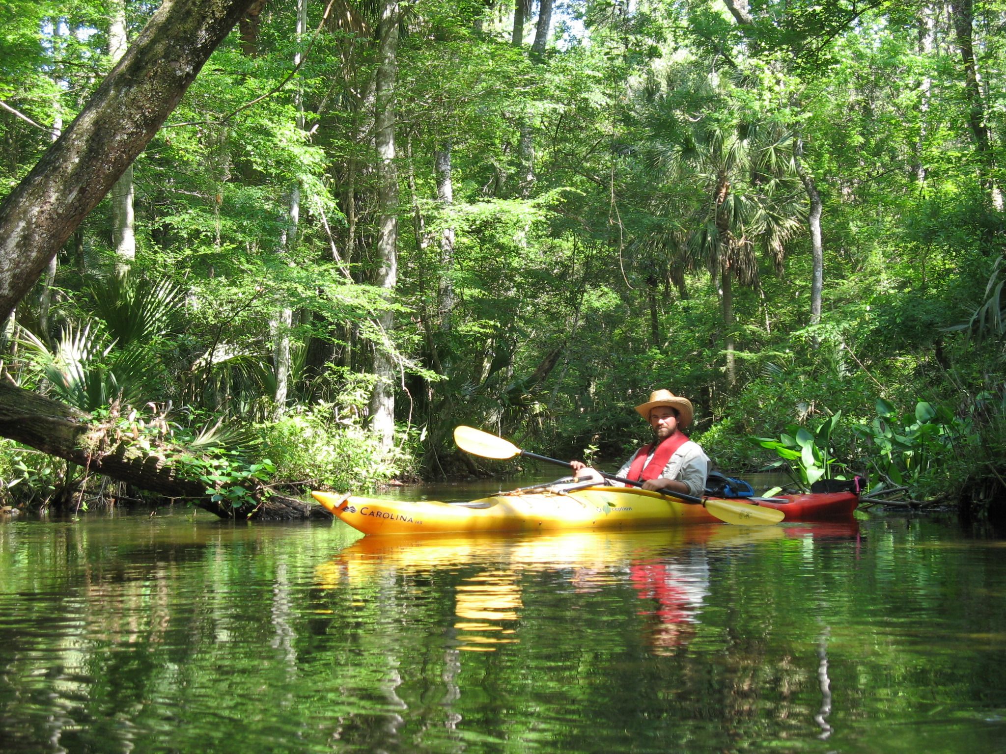 A person in a yellow kayak on a calm river surrounded by dense green foliage.