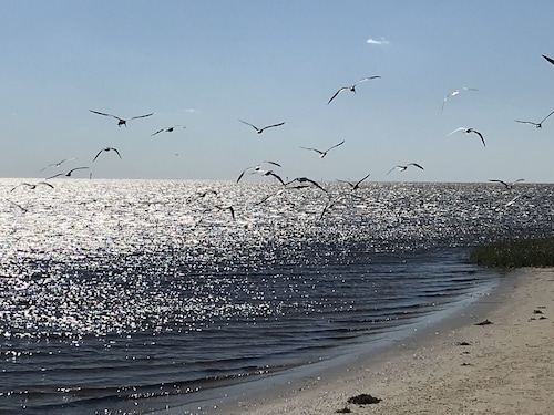 Steinhatchee River Inn